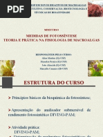 WS.minicurso_fotossintese