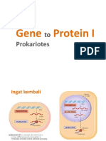 Gen To Protein 1 Prokariotik