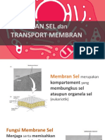 Membran Sel, Transport Membran