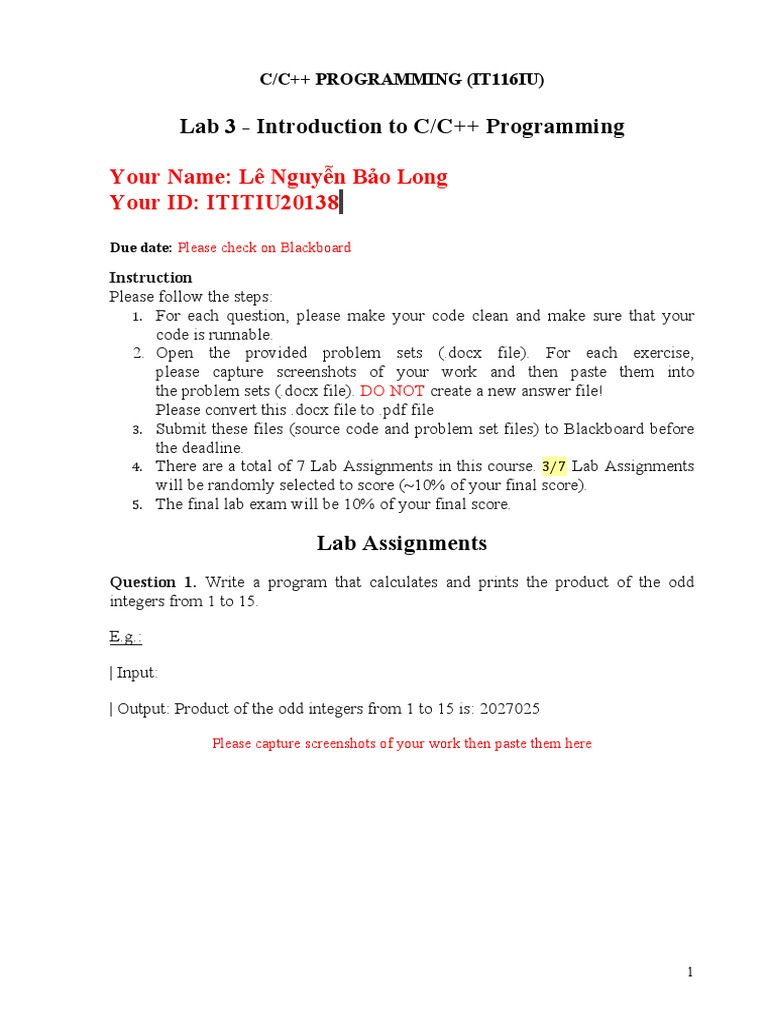 Lab 3: C/C++ Programming Exercises | PDF | Software Development ...
