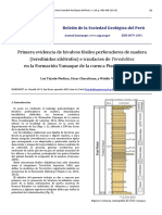 Tejada-Primera Evidencia Bivalvos Fosiles