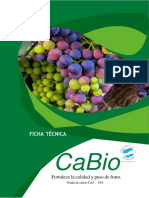 Ficha Tecnica Cabio 2021 PDF