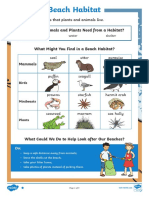 Beach Habitat Differentiated Reading Comprehension Activity