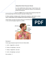 Contoh Latihan Soal IPA Biologi Materi Sistem Pernapasan Manusia