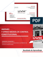 Medios de control constitucional en México