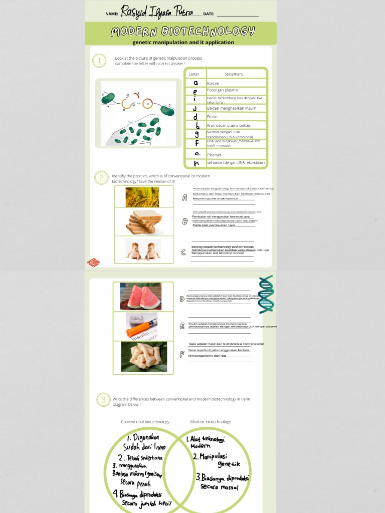 Worksheet 42 Modern Biotech 3 PDF