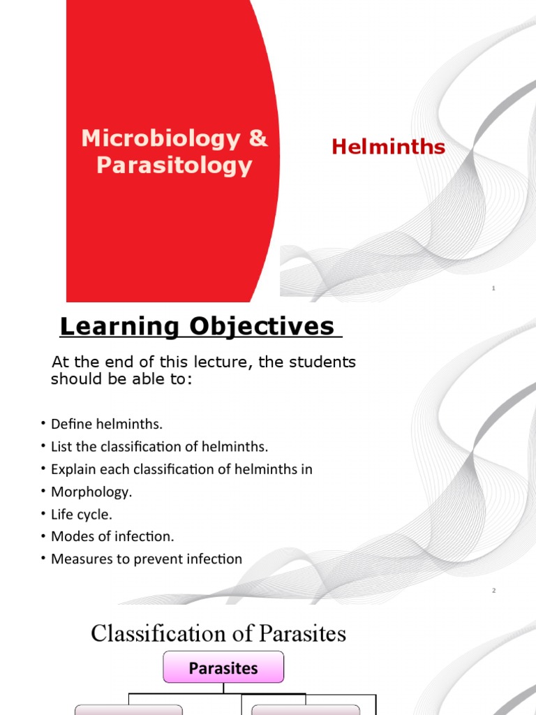 Helminths: Classification and Life Cycle | PDF | Diseases And Disorders ...