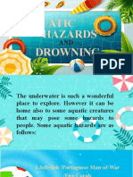 Aquatic Hazards Drowning