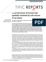 Local Structure of Human Hair Spatially Resolved by Sub-Micron X-Ray Beam