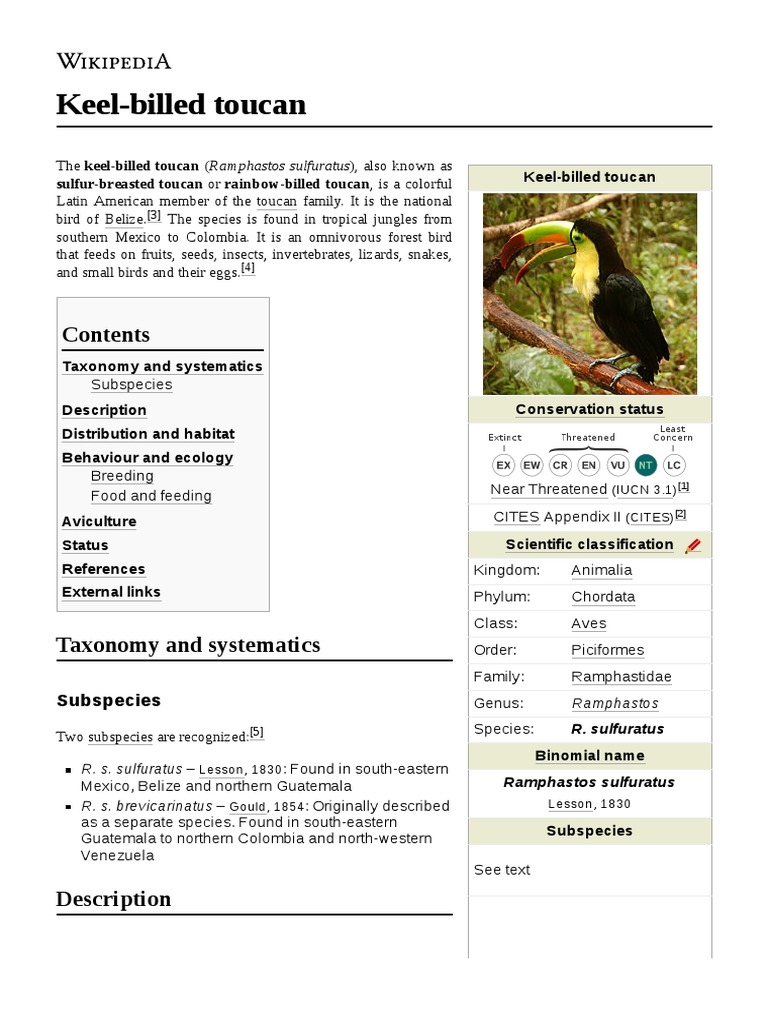 Keel Billed Toucan, PDF, Birds