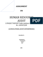 Human Resource Audit: Assignment ON