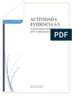 ACTIVIDAD 6 EVIDENCIA 6.6 PLAND DE MANEJO AMBIENTAL ARTE Y CORRUGADO