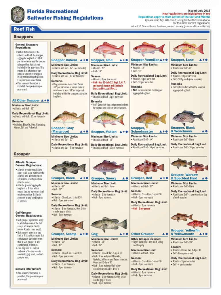 Florida Recreational Saltwater Fishing Regulations Reef Fish PDF