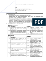 RPP-SD-Tema6-Sub1