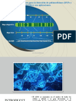 Detección de polimorfismos moleculares y sus aplicaciones