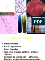 Atlas de Microbiología Clínica Básica