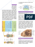 Anatomia da cavidade torácica e seus órgãos