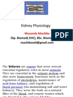 Kidneys Function Test