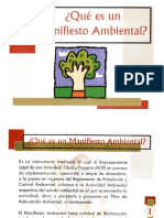 10 Manifiesto Ambiental