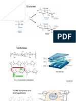 Biochemie