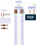 TAREA DE MORFO 2 Ofc