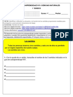 Ciencias_Guía-N°3_1°