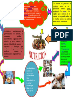 Mapa Conceptual de La Nutricion 3