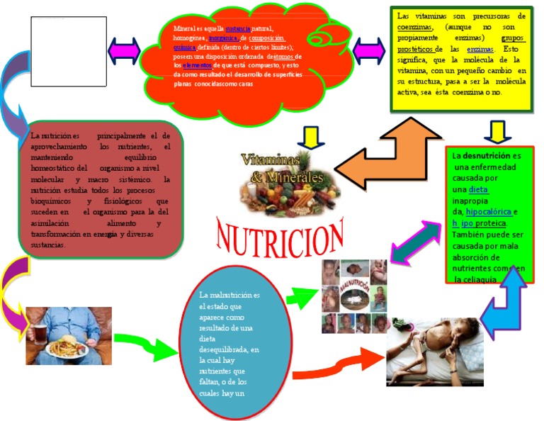 Mapa Conceptual de La Nutricion 3 | PDF | Nutrición | Dieta y nutrición