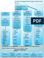 Mapa Conceptual de La Nutricion 5