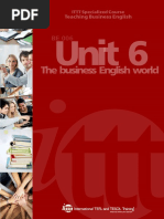 Unit 6: The Business English World