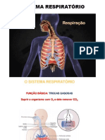 RESPIRATÓRIO