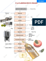 Mafer Sairitupac - Fermentación Acética