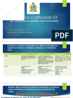 Practica Calificada 03