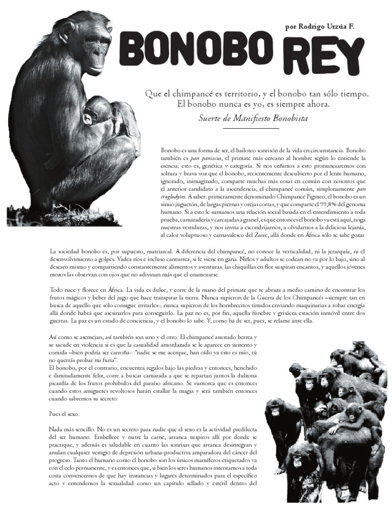 Bonobo Rey | PDF | Chimpancé | Science