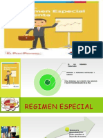 Regimen Especial Exposicion