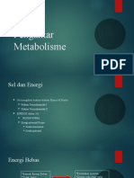 Metabolisme Sel