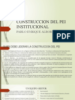 Construccion Del Pei Institucional