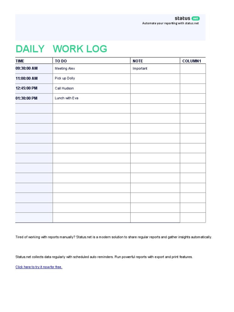 Daily Work Log Template PDF