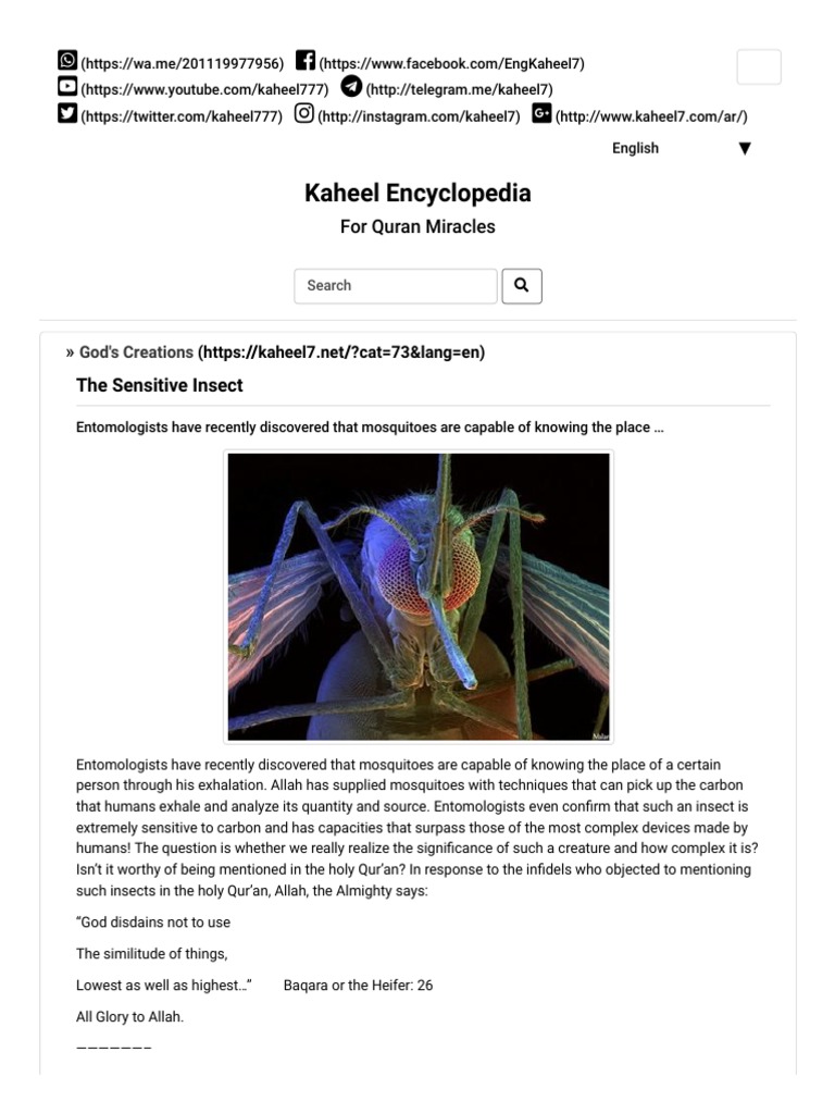 The Sensitive Insect - Kaheel Encyclopedia | PDF | Social Science