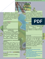 Poster La Deforestación