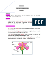 Biology Chapter 4: The Flower Lesson-1 Class-9A: Stalk (Pedicel) Without A Stalk (Sessile) Receptacle Thalamus T