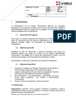 PPA Plan de Seguridad y Salud Ocupacional