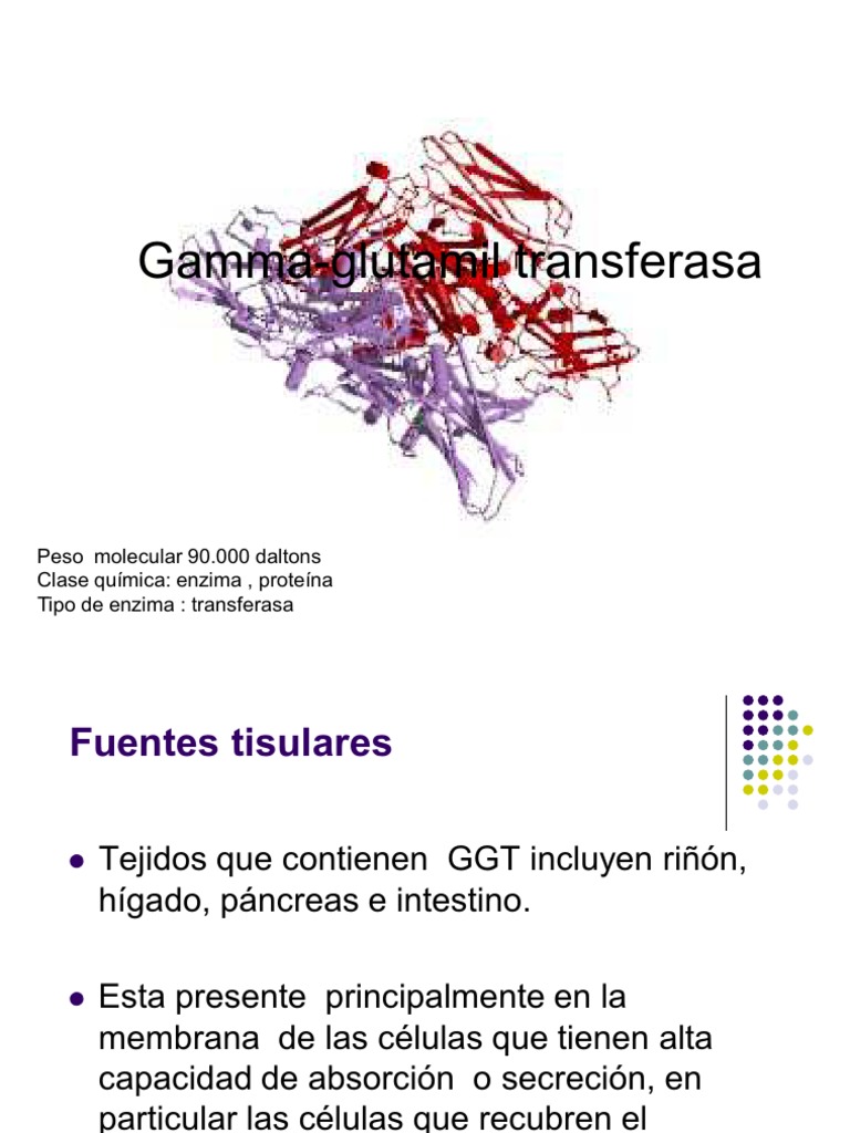 Gamma Glutamil Transfer as A
