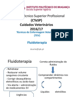 3 Fuidoterapia