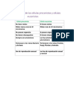 Diferencias Celulas Eucaritas y Procariotas