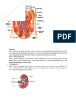 Sistem Perkemihan