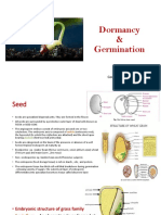 Germination 2