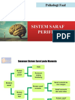 Sistem Saraf Perifer