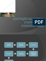 Adaptações Do Sistema Endócrino Ao Exercíio Físico