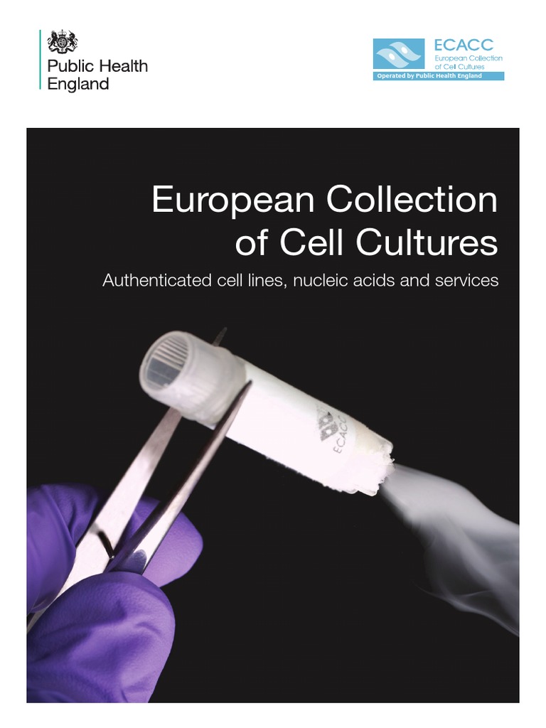Ecacc Brochure Final 3mb PDF Cell Culture Cell (Biology)